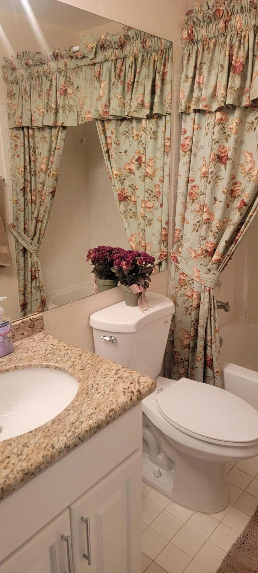 2529 BEDFORD MEWS Drive