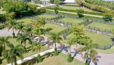 14136 EQUESTRIAN Way
