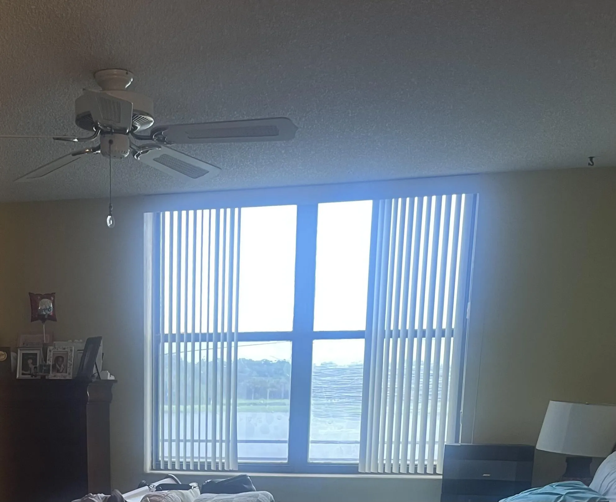 2907 CARAMBOLA Circle S #204