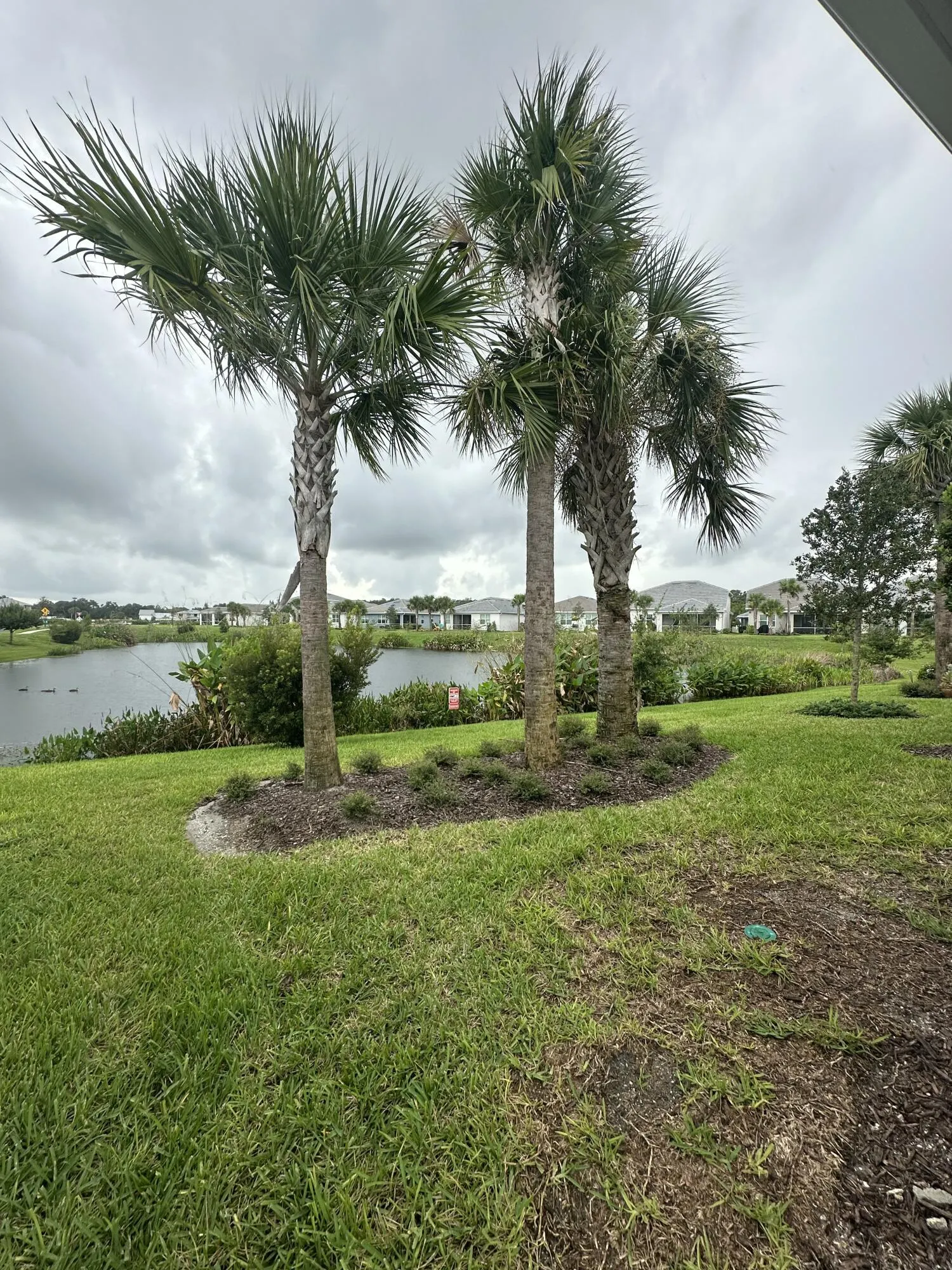 4501 JOLLY ROGER Manor