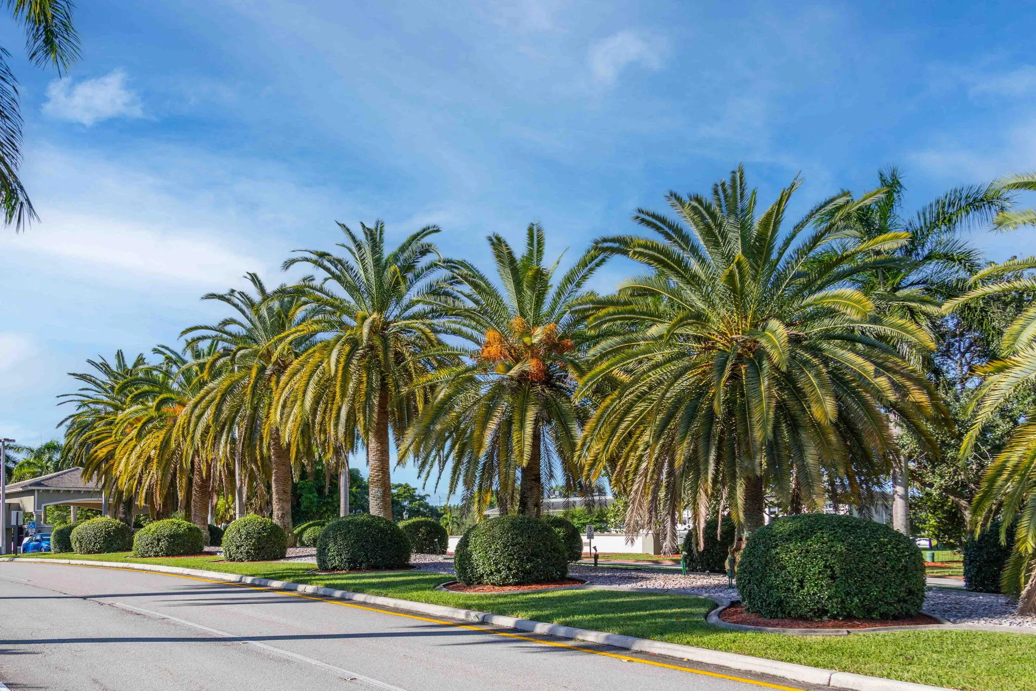 1604 ABACO Drive #D1