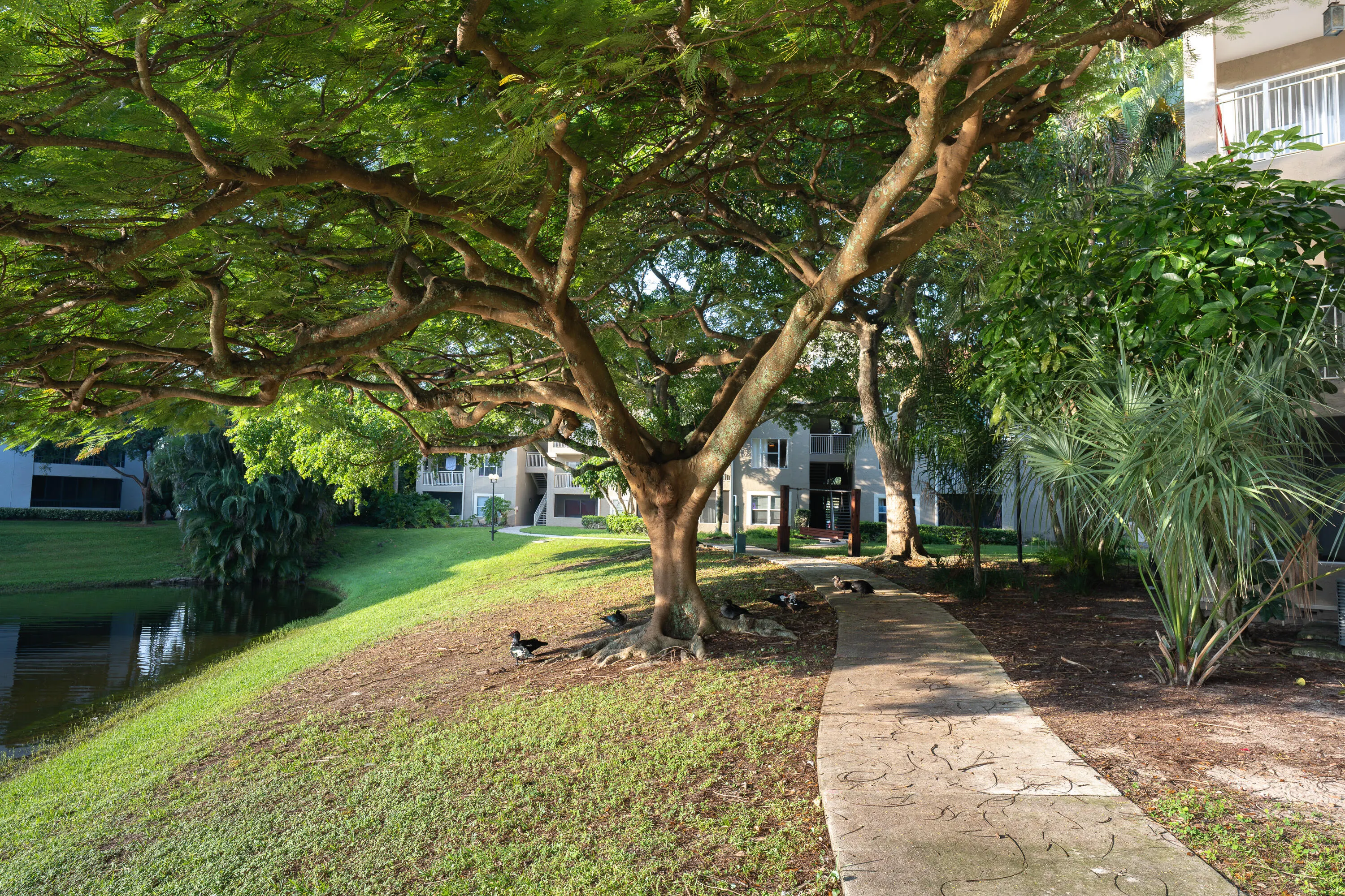 1865 Palm Cove Boulevard #9-209