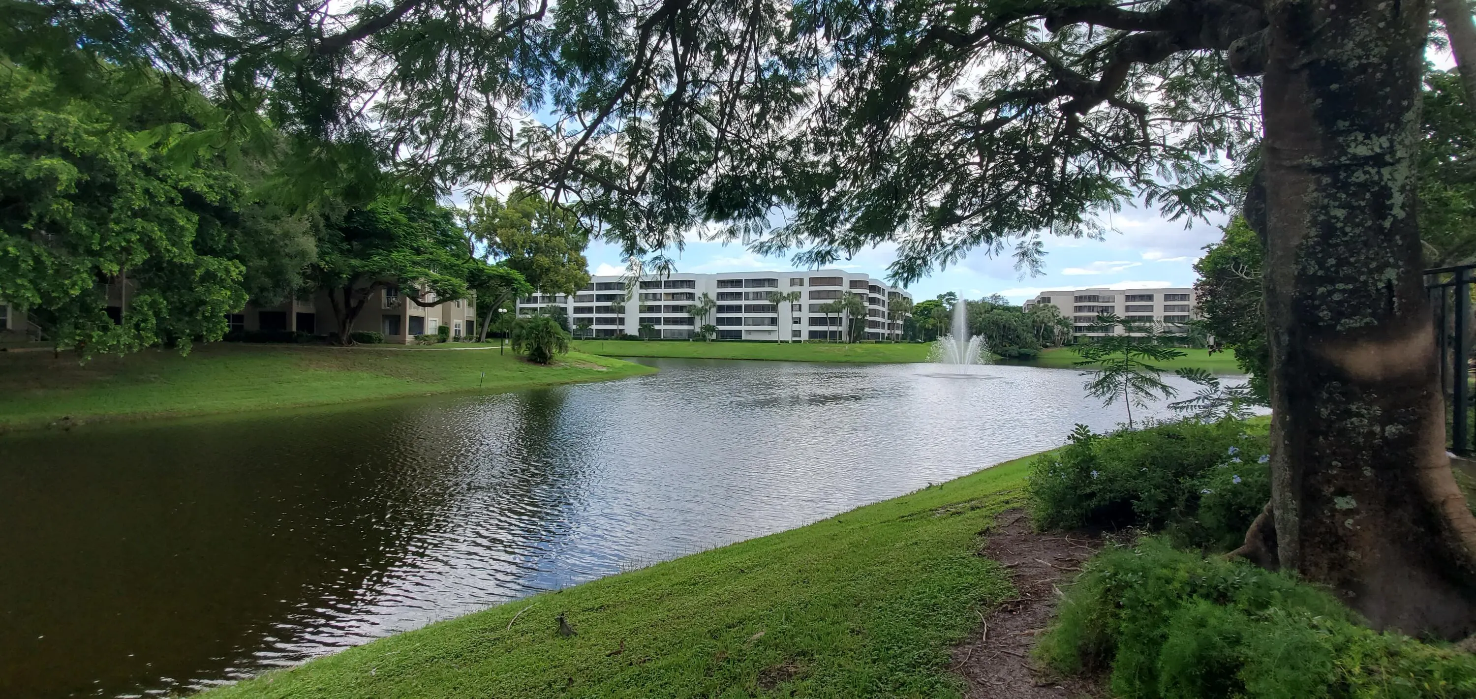 1845 PALM COVE Boulevard #8-104