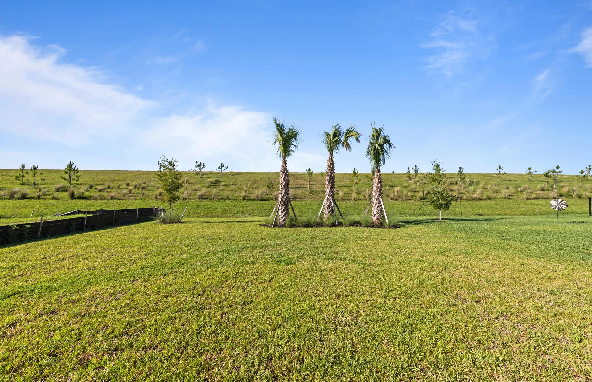3849 Passion Vine Drive
