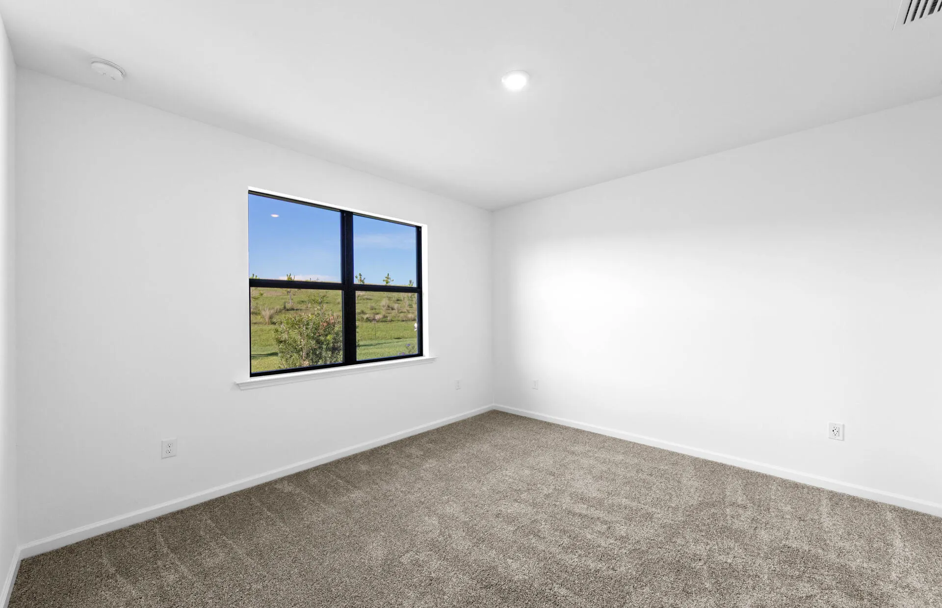 3849 Passion Vine Drive