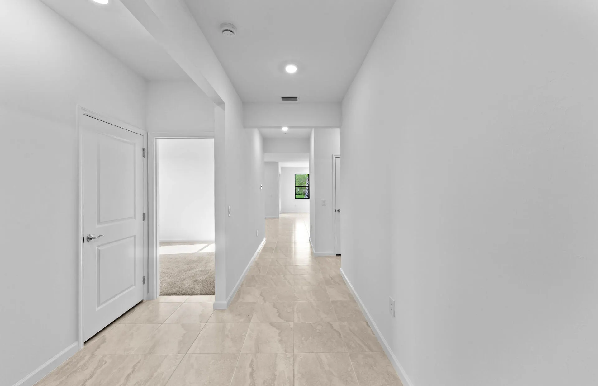 3849 Passion Vine Drive
