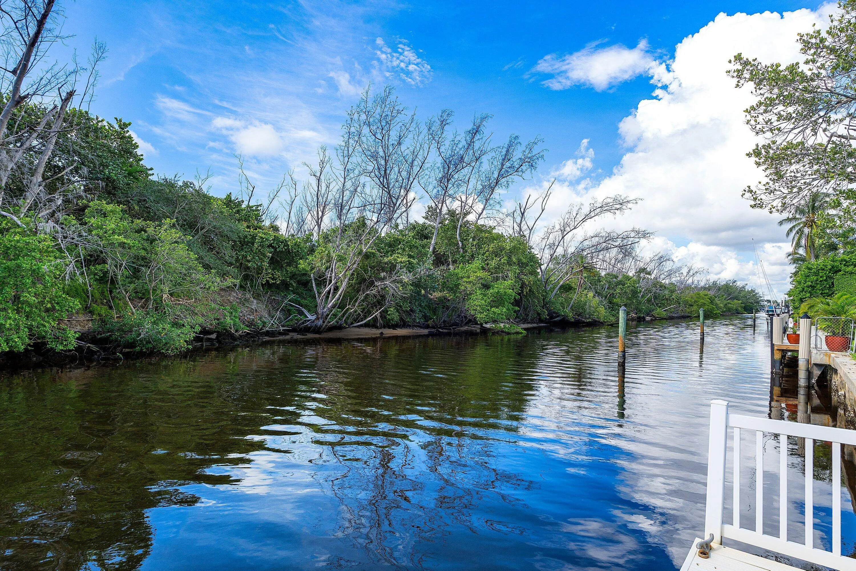 348 E Alexander Palm Road
