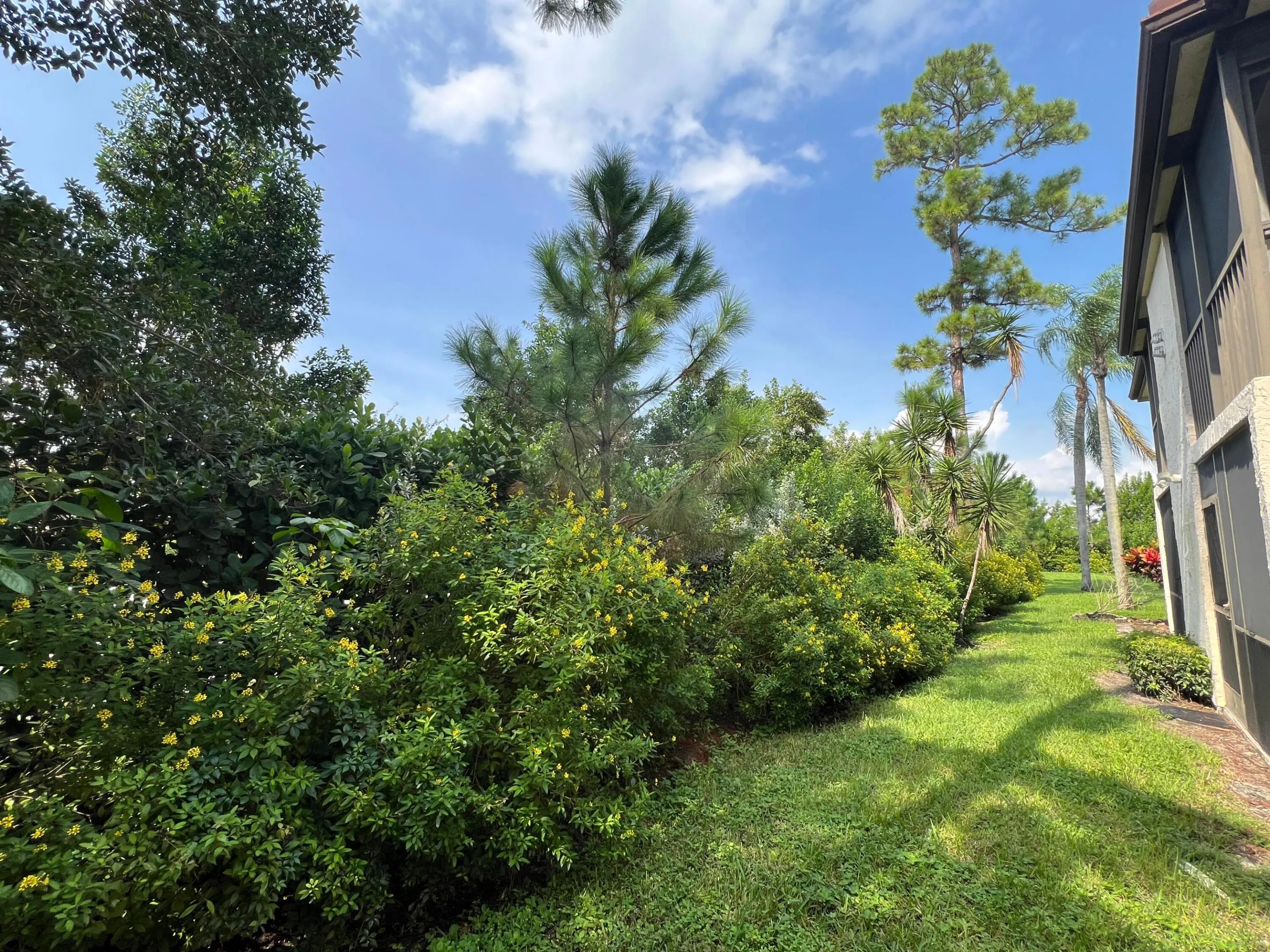 7281 Golf Colony Court #203