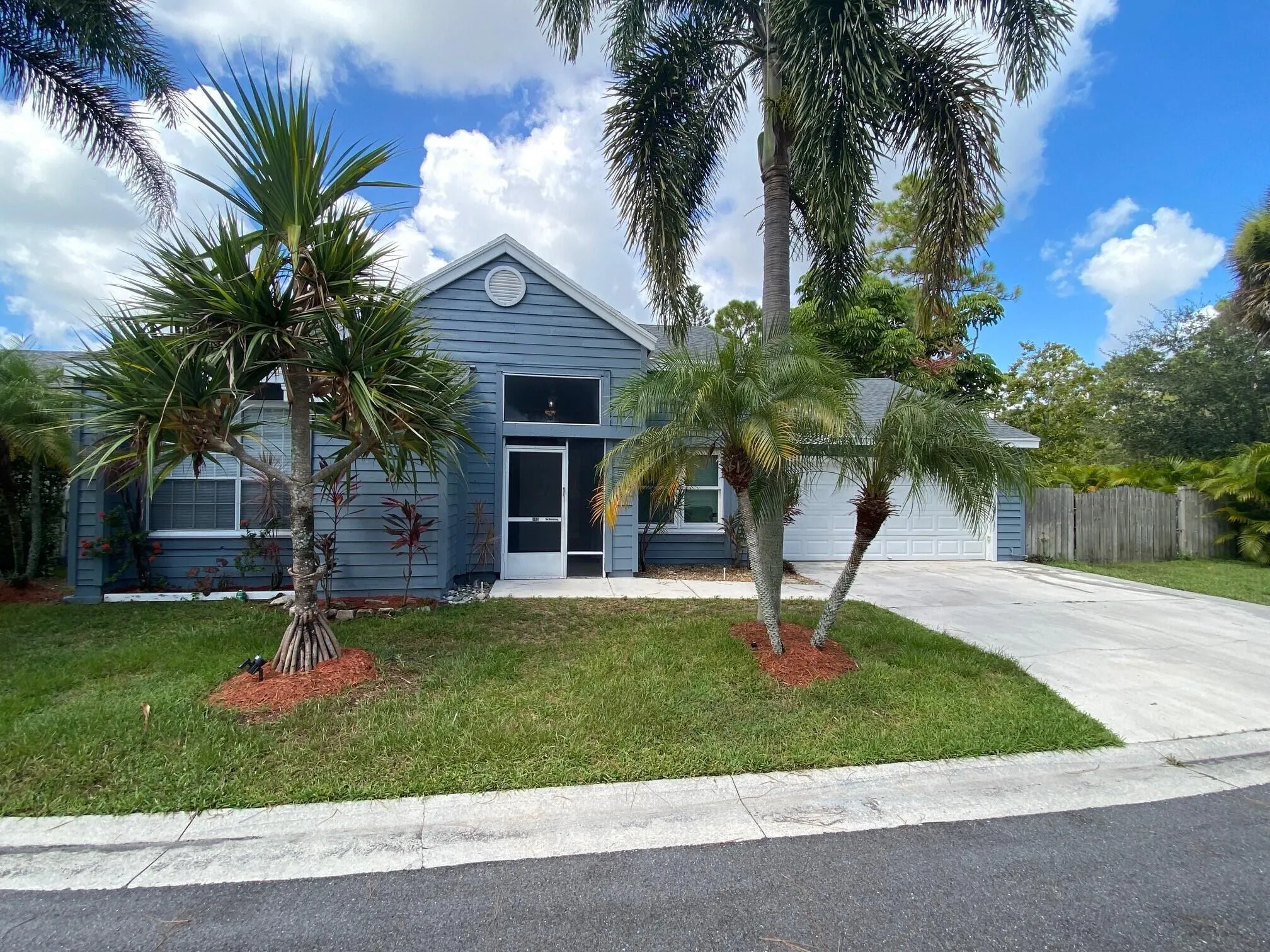 963 RED PARROT Lane