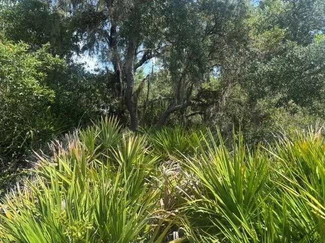 0 Holopaw Groves Road