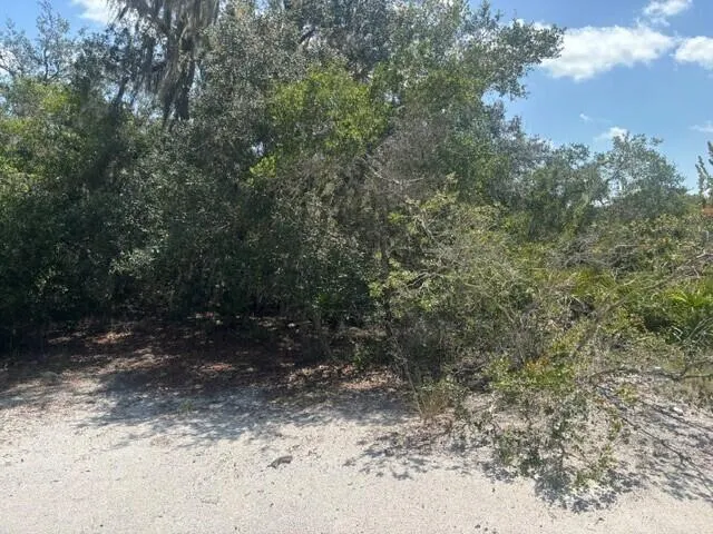 0 Holopaw Groves Road
