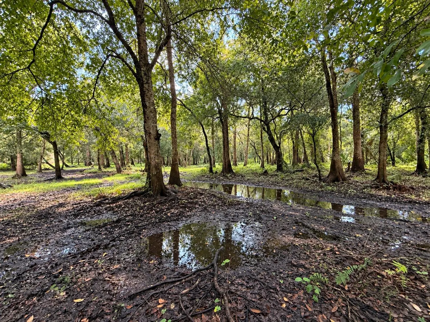 1042 ARBUCKLE BRANCH Road