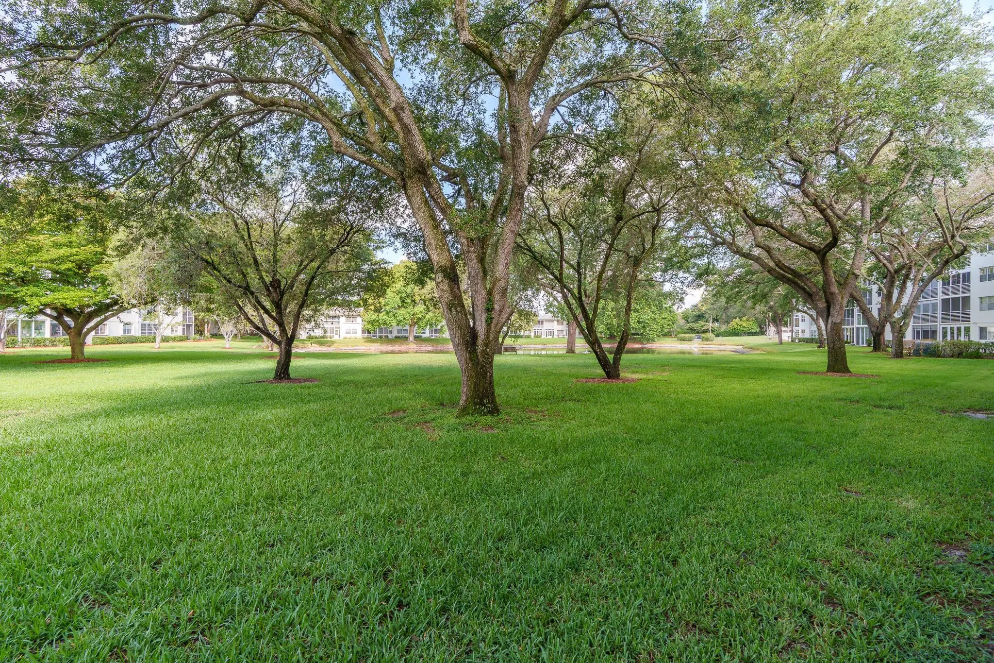 1503 CAYMAN Way #B1
