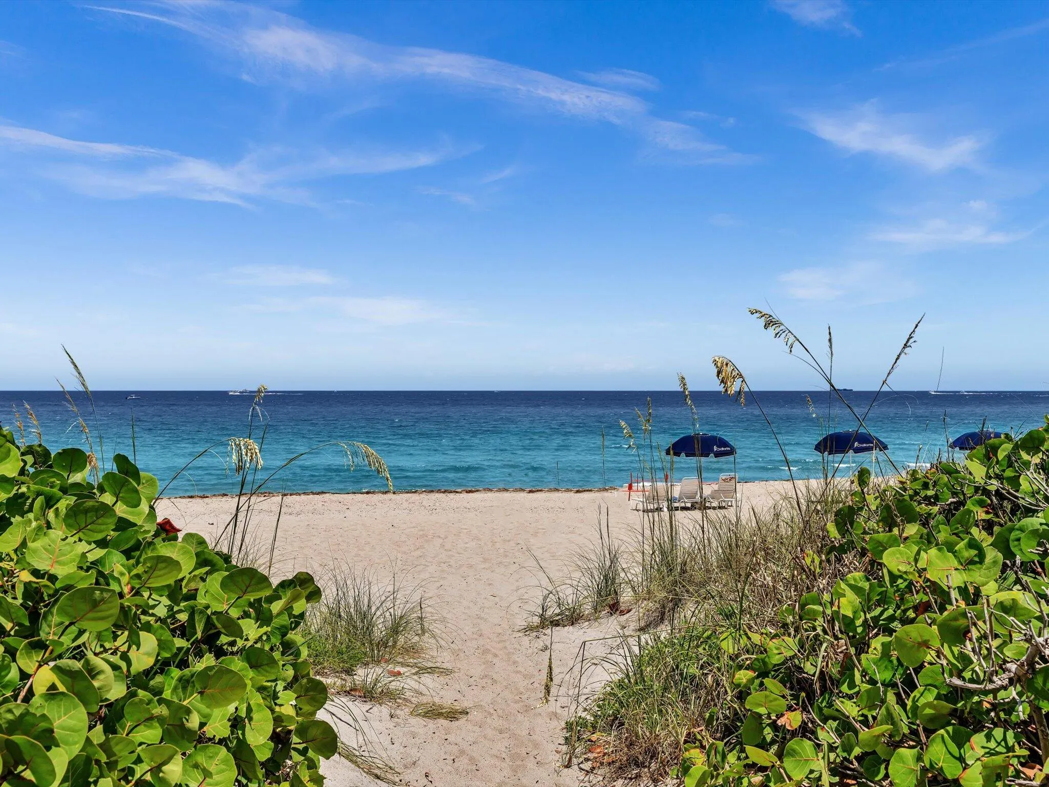 550 S Ocean Boulevard #2209
