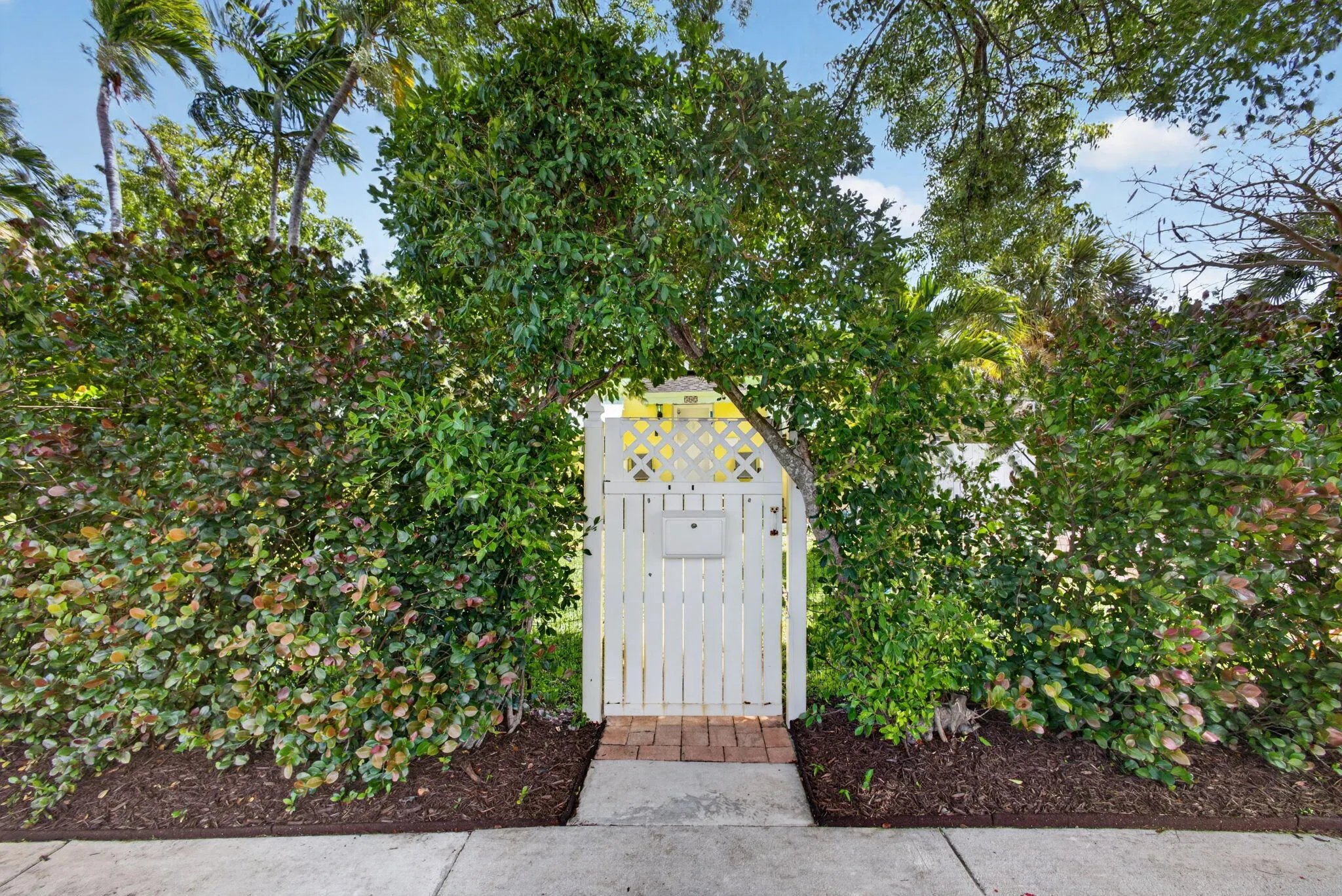 502 49th Street