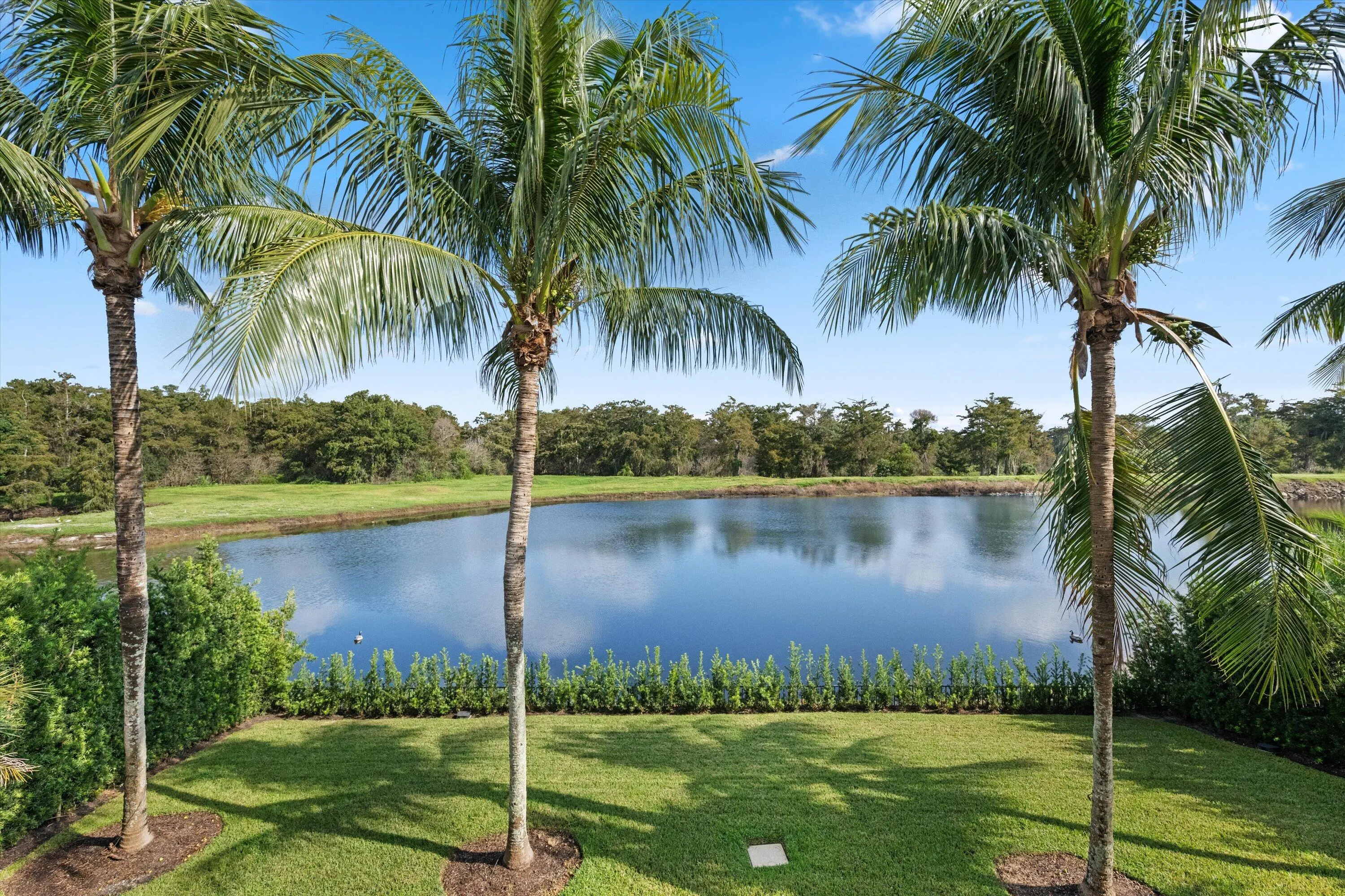 3173 Blue Cypress Lane
