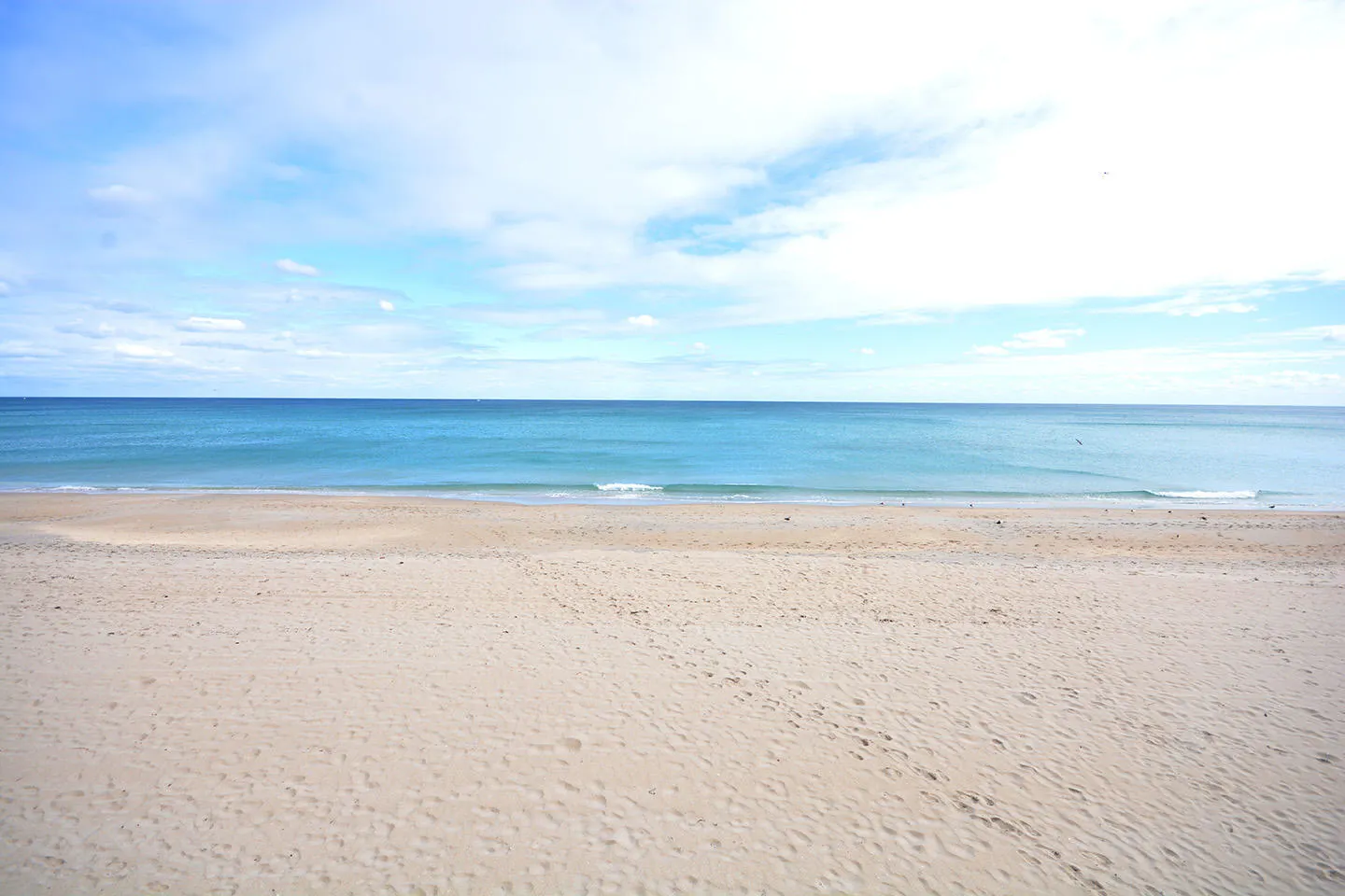 3460 S OCEAN Boulevard #3100