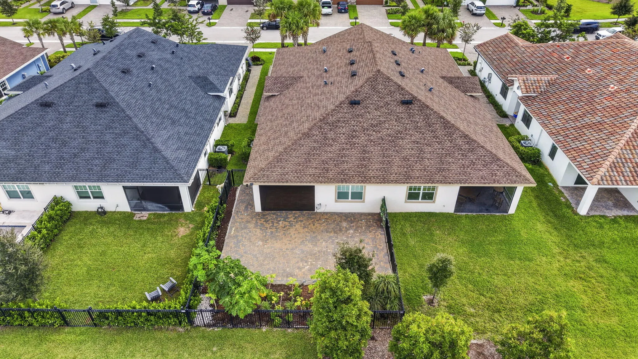 1243 TANGLED ORCHARD Trace