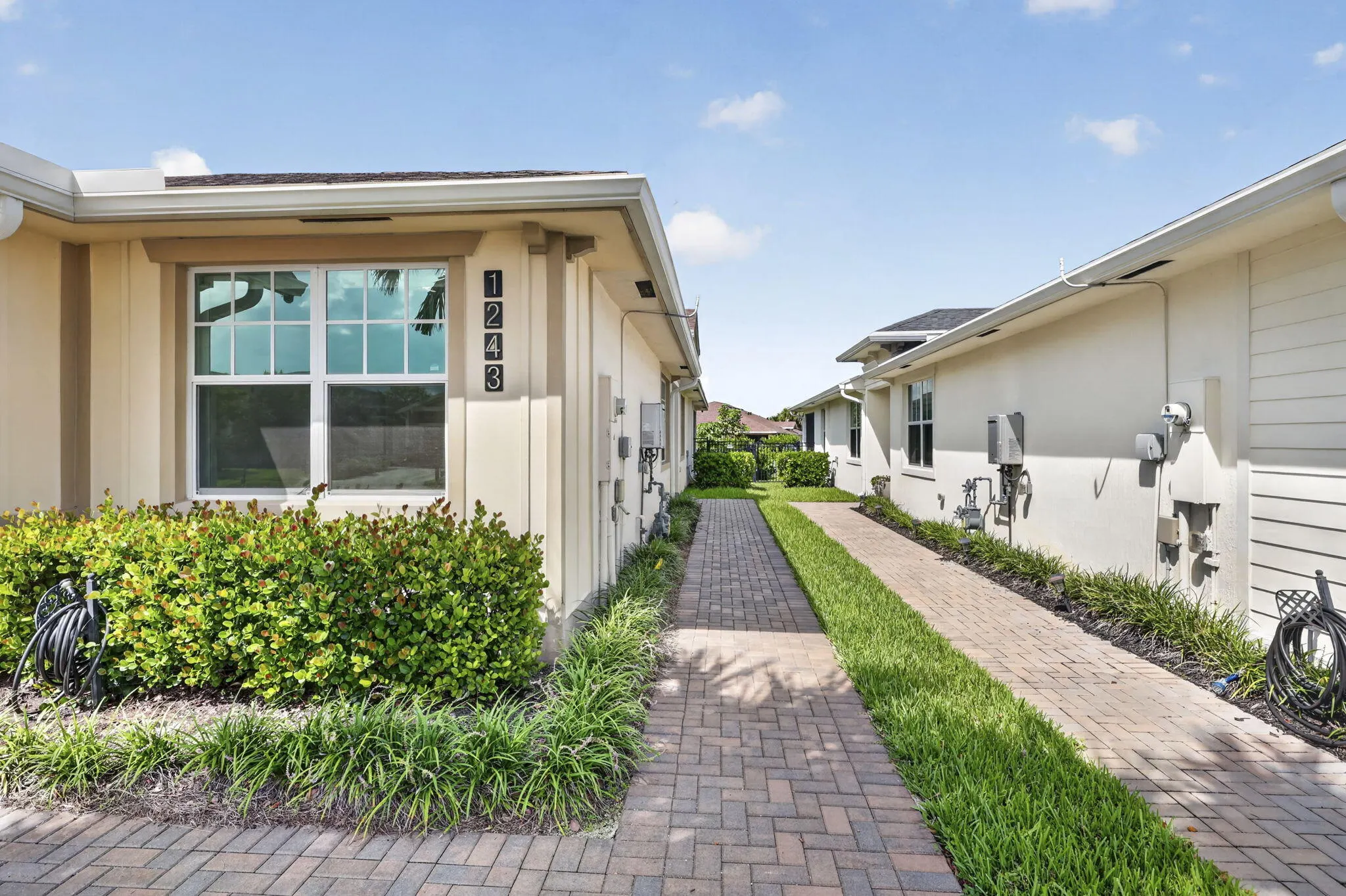 1243 TANGLED ORCHARD Trace
