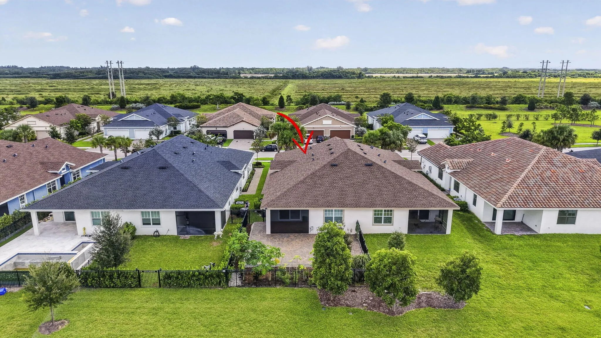 1243 TANGLED ORCHARD Trace
