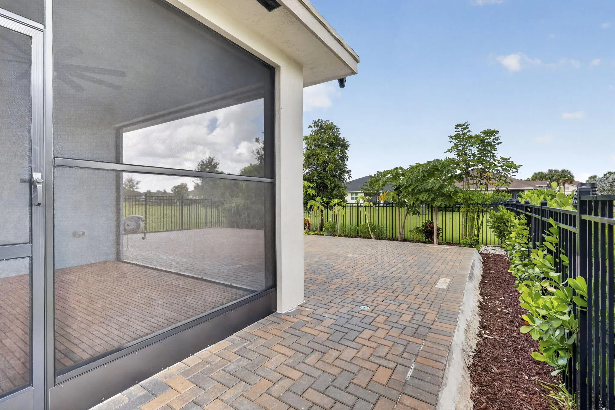 1243 TANGLED ORCHARD Trace