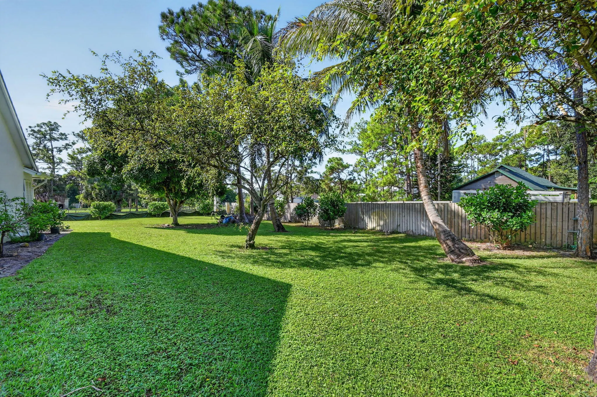8895 Palomino Drive