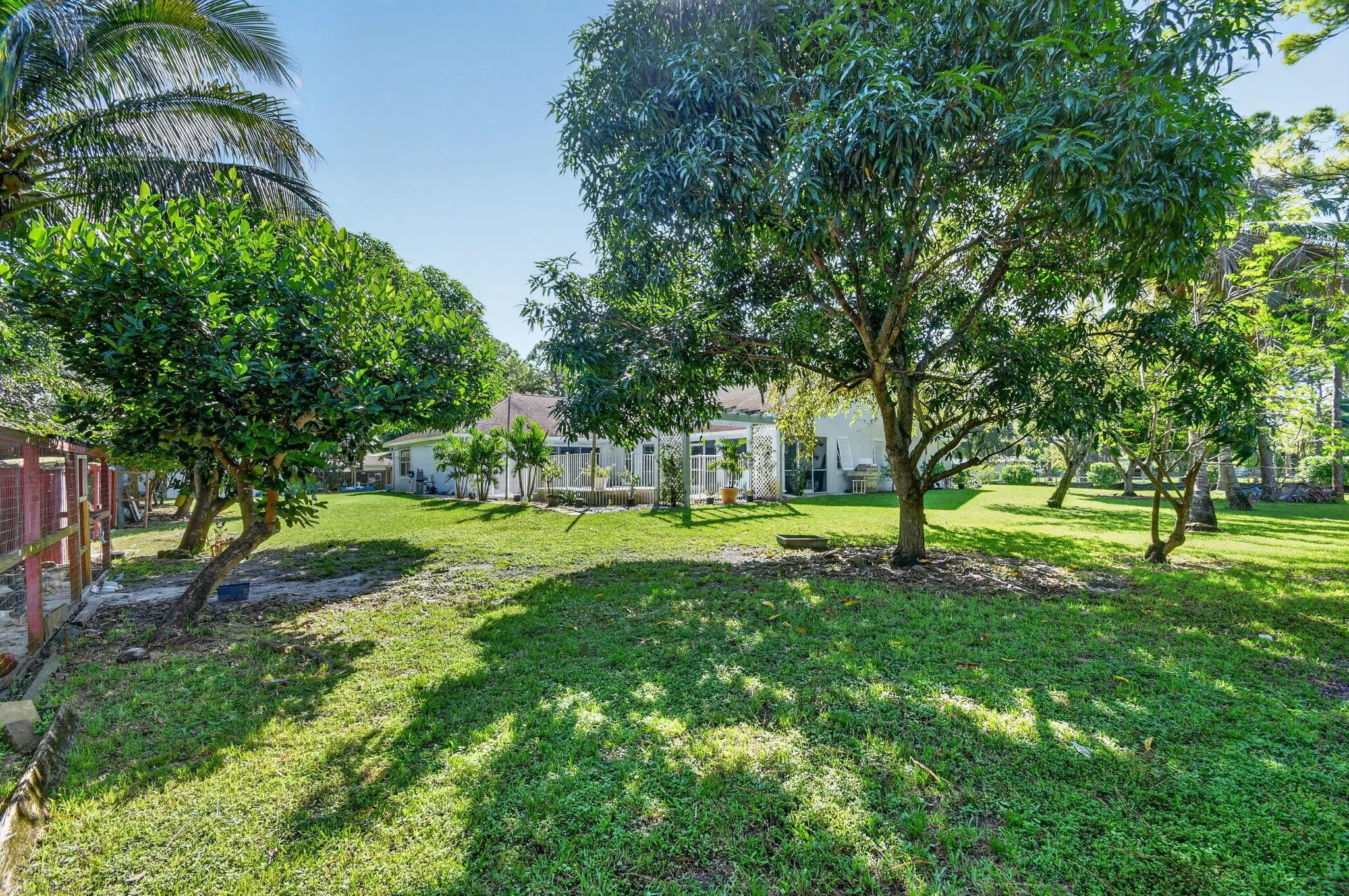 8895 Palomino Drive