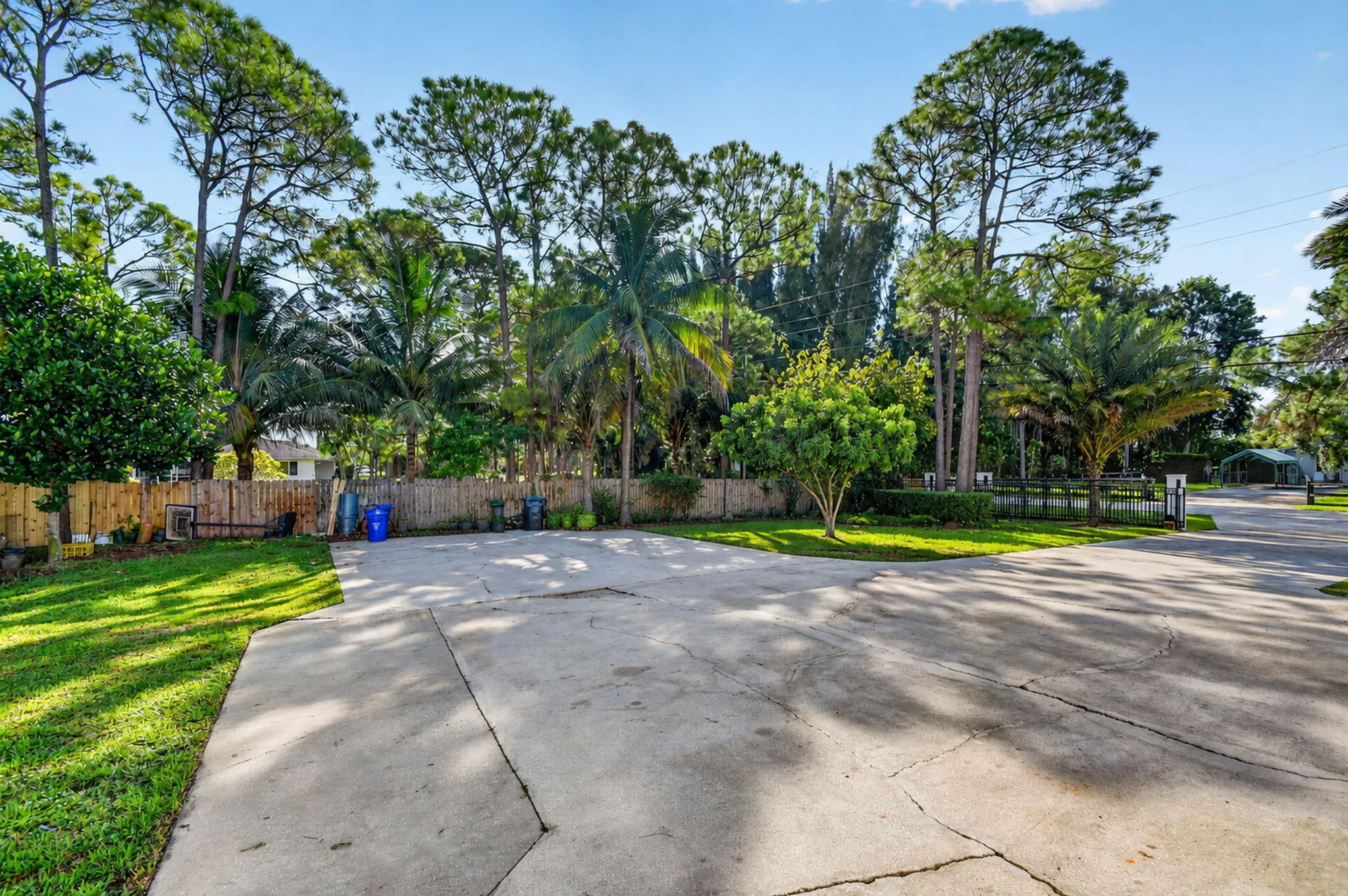 8895 Palomino Drive