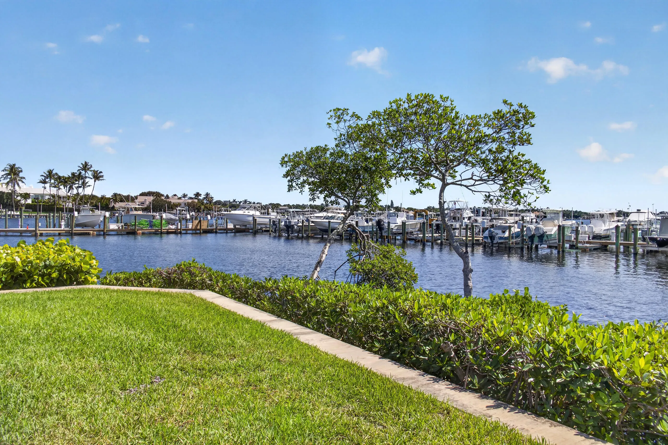 11370 Twelve Oaks Way #111