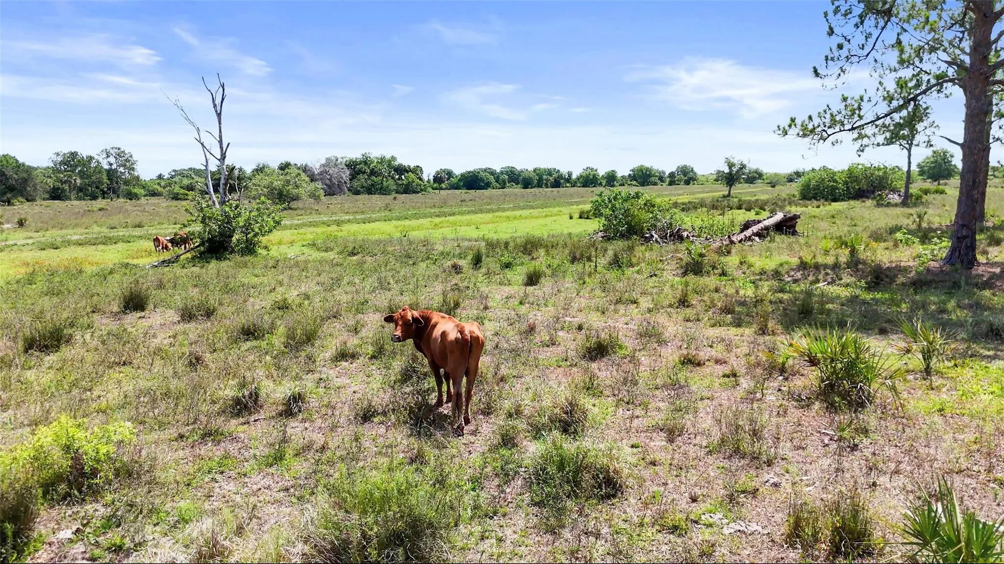 2777 + 2837 EVERHIGH ACRES Road