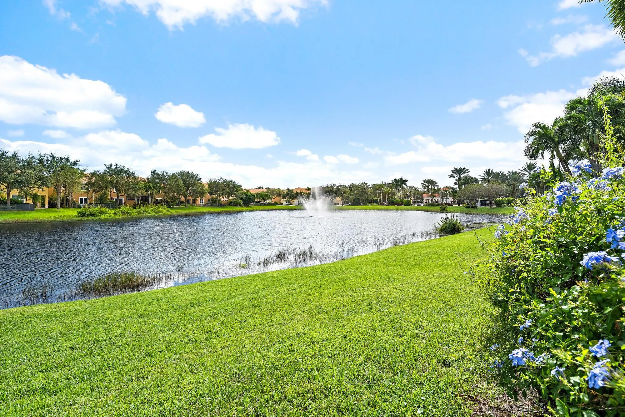 4798 Cadiz Circle