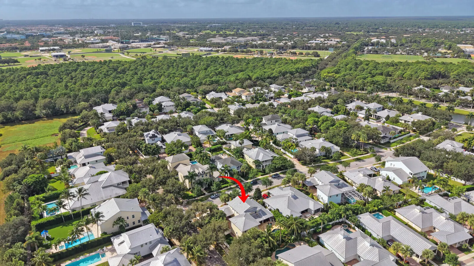 1031 Tiki Drive