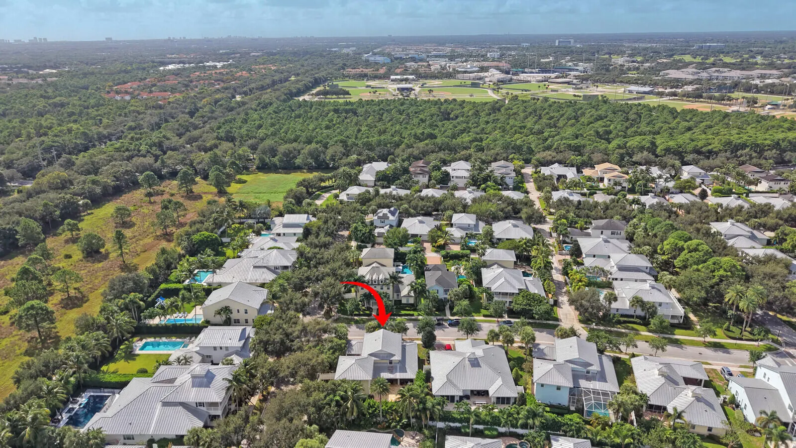 1031 Tiki Drive