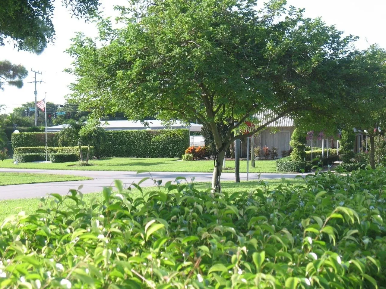 2920 SW 15TH Street #202