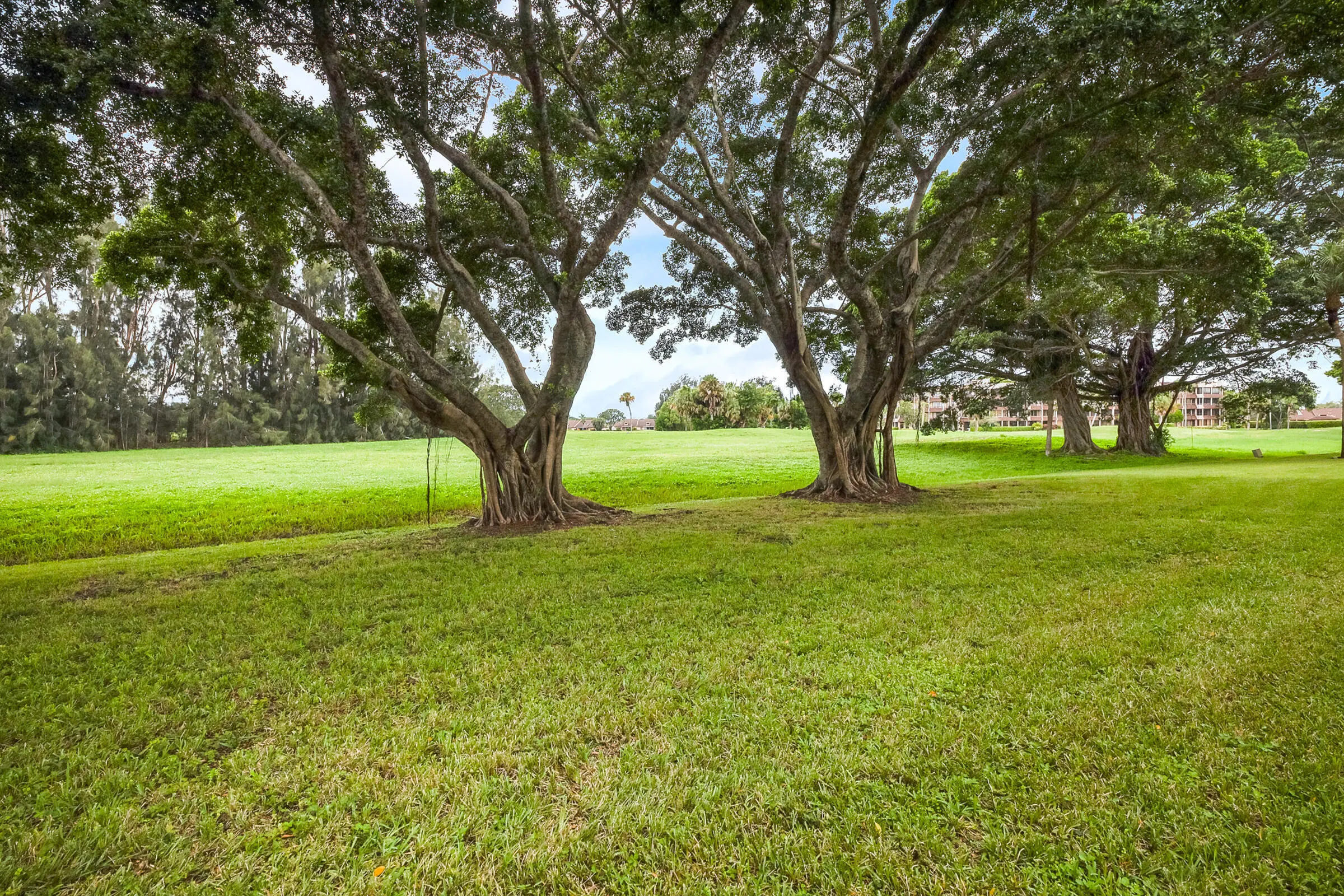4803 ESEDRA Court