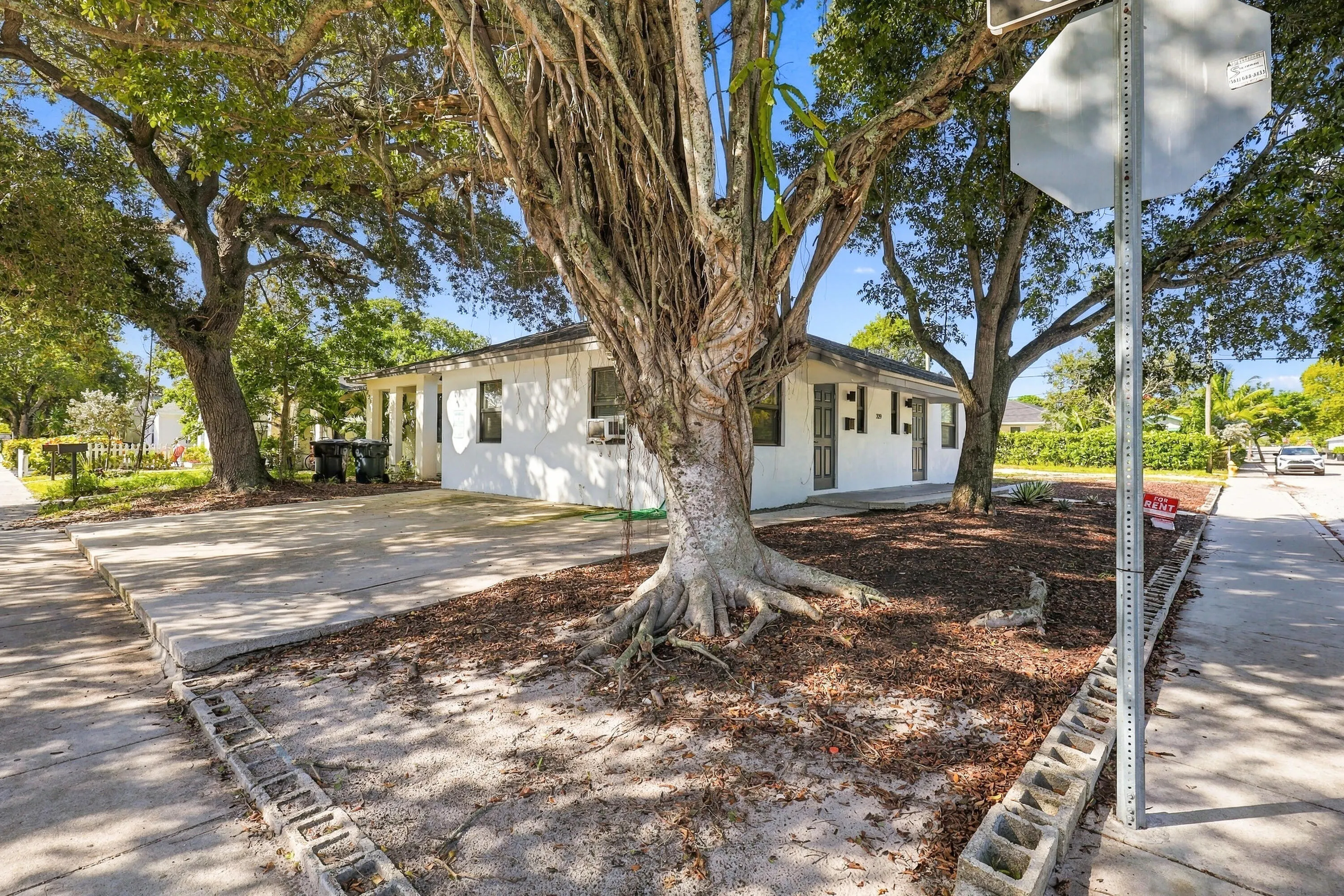 229 N E #1