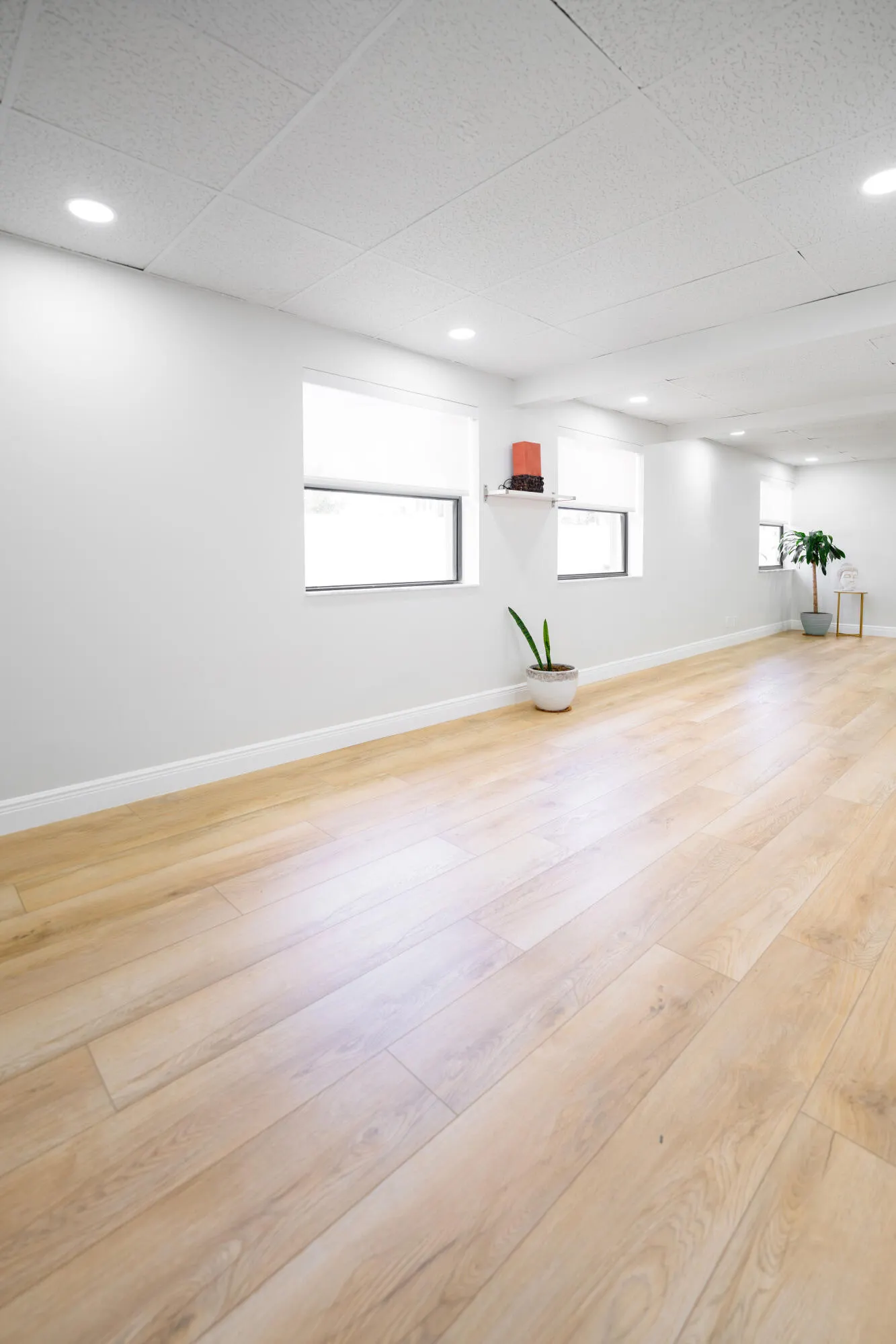 2135 S Congress Avenue #B3