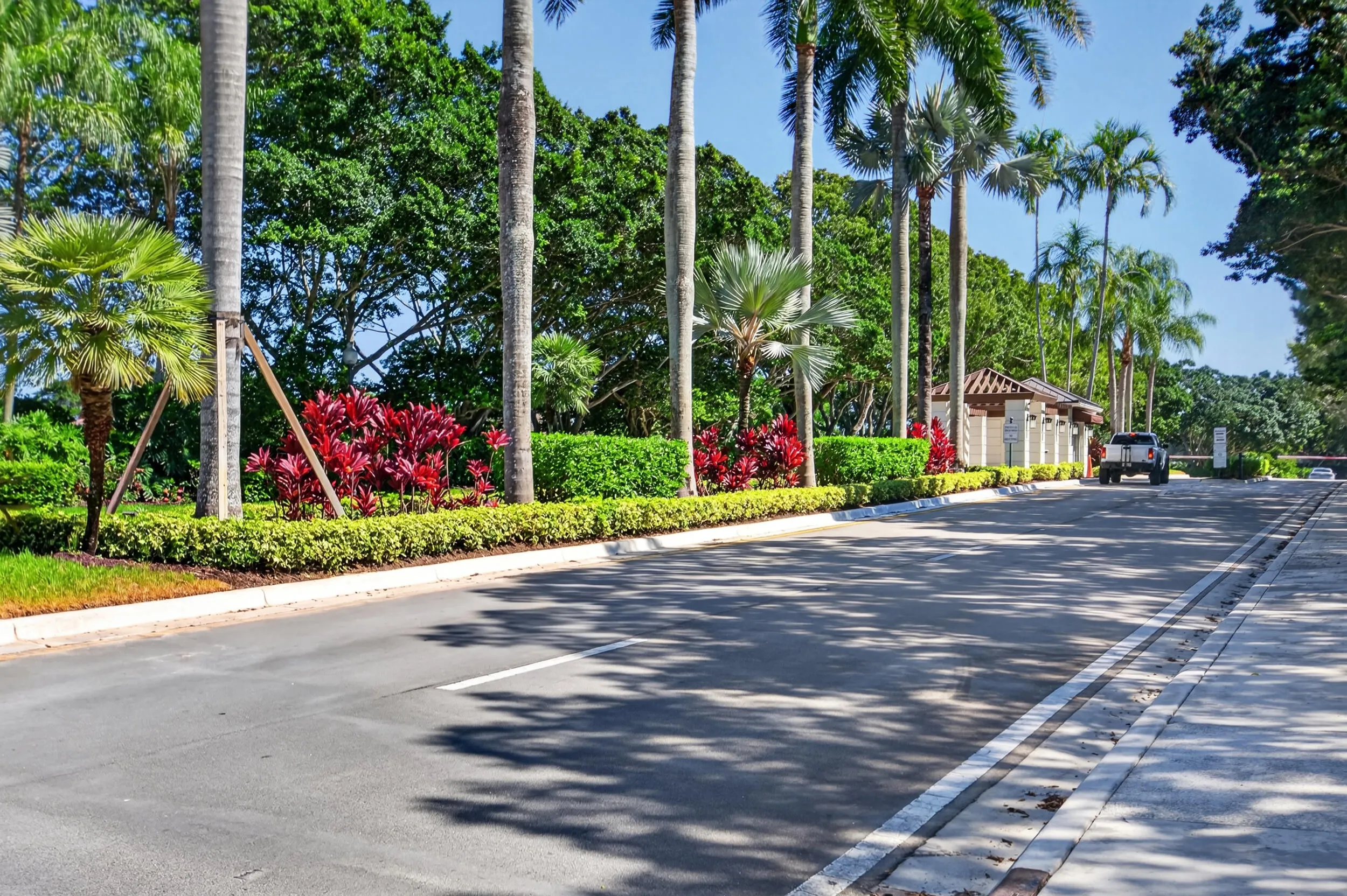 332 Palm Boulevard