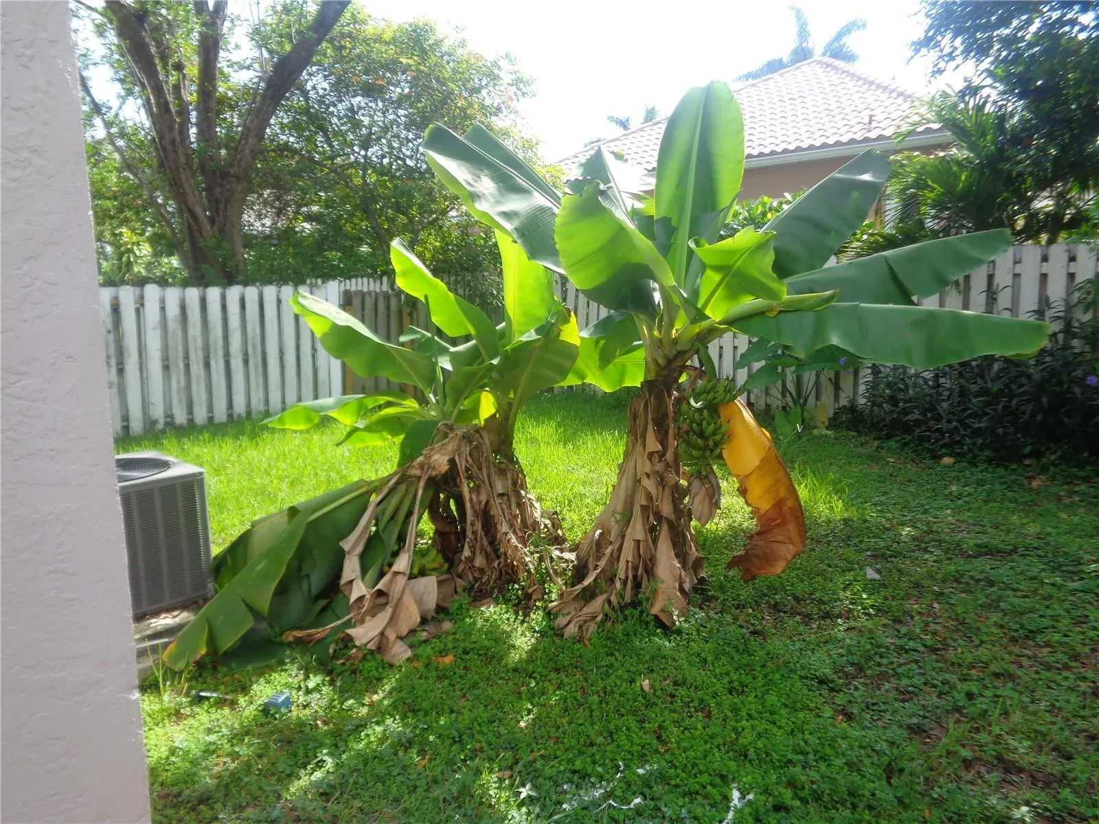 10939 W BROWARD Boulevard #10939