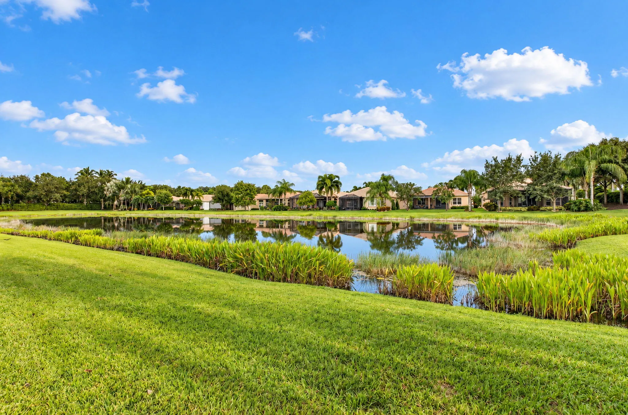 9088 Ribbons Ridge Point