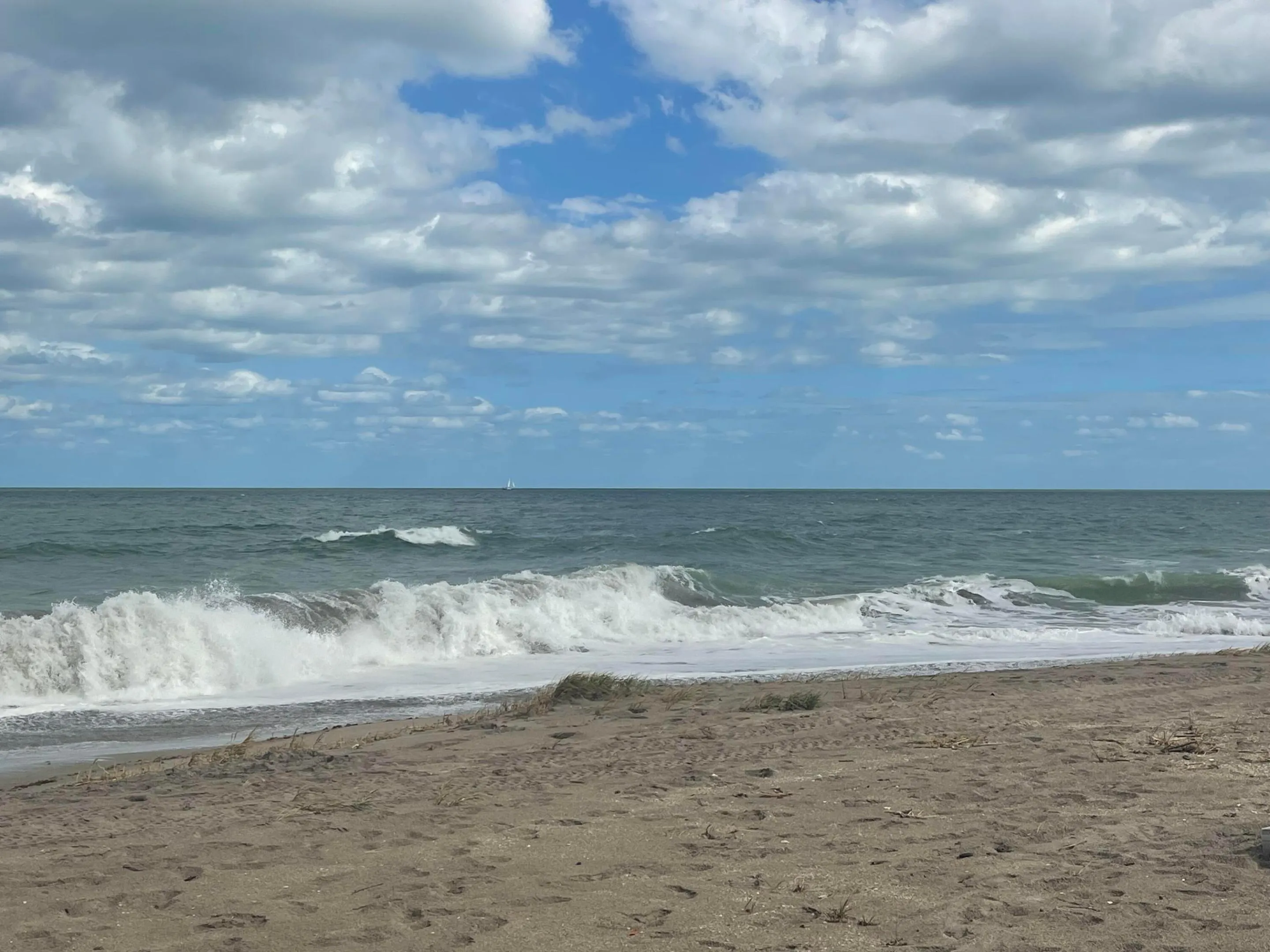 3036 WINDWARD Drive #1306