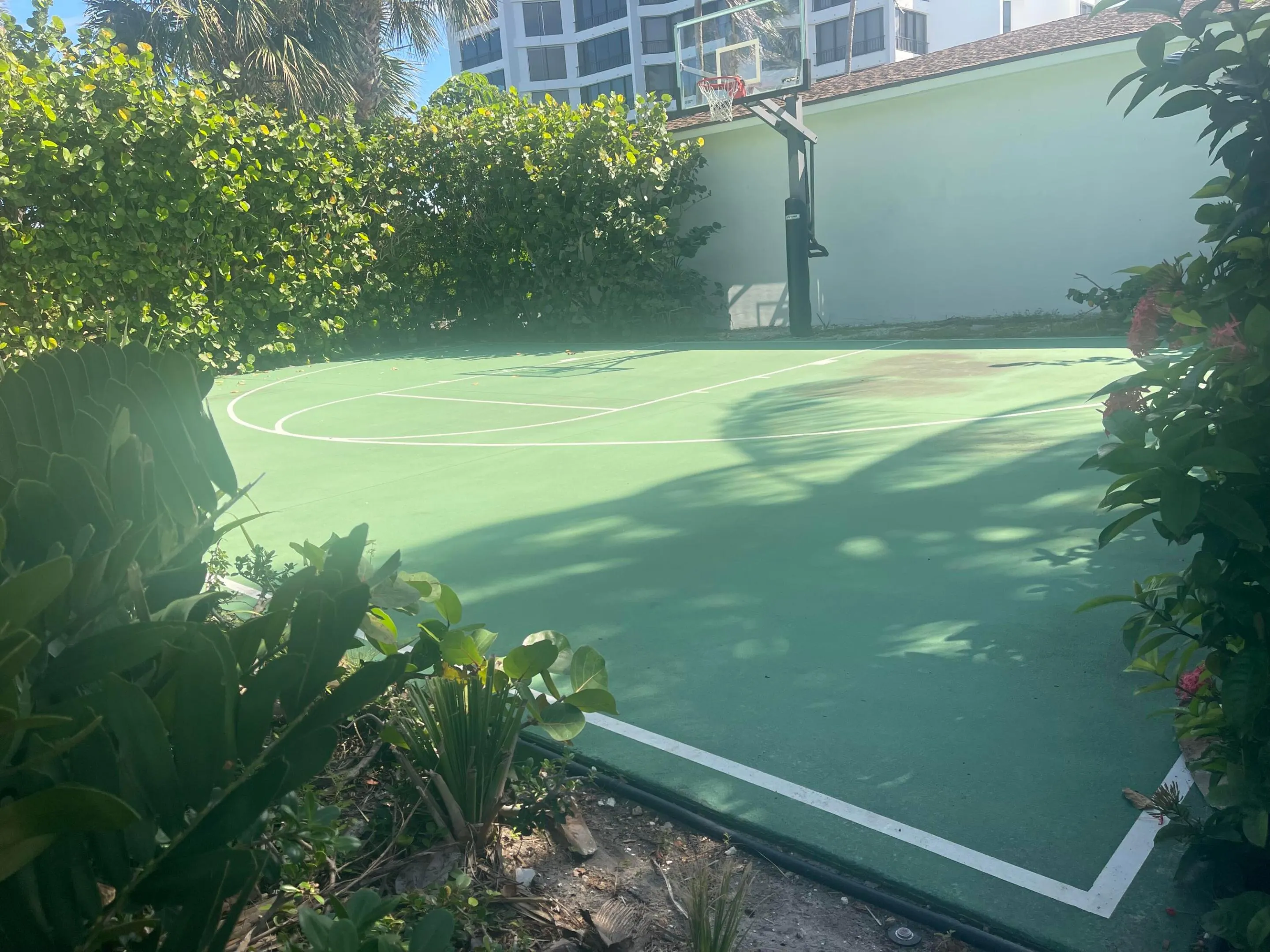 3036 WINDWARD Drive #1306