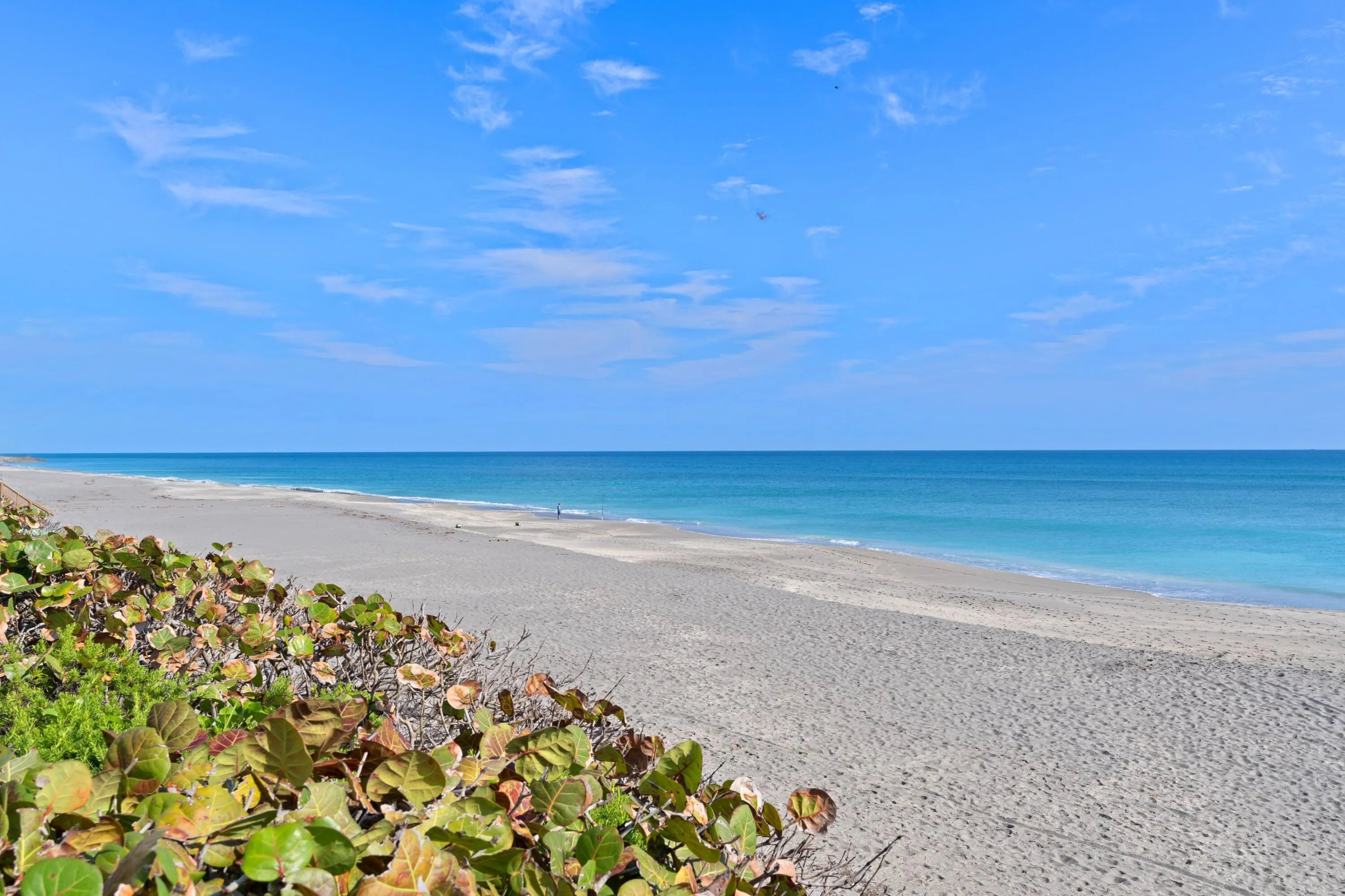 19670 Beach Road #B303