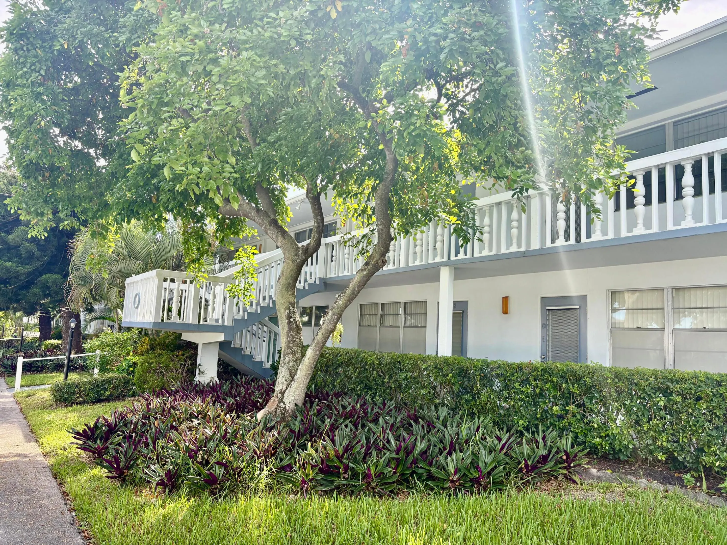 323 TILFORD O #323