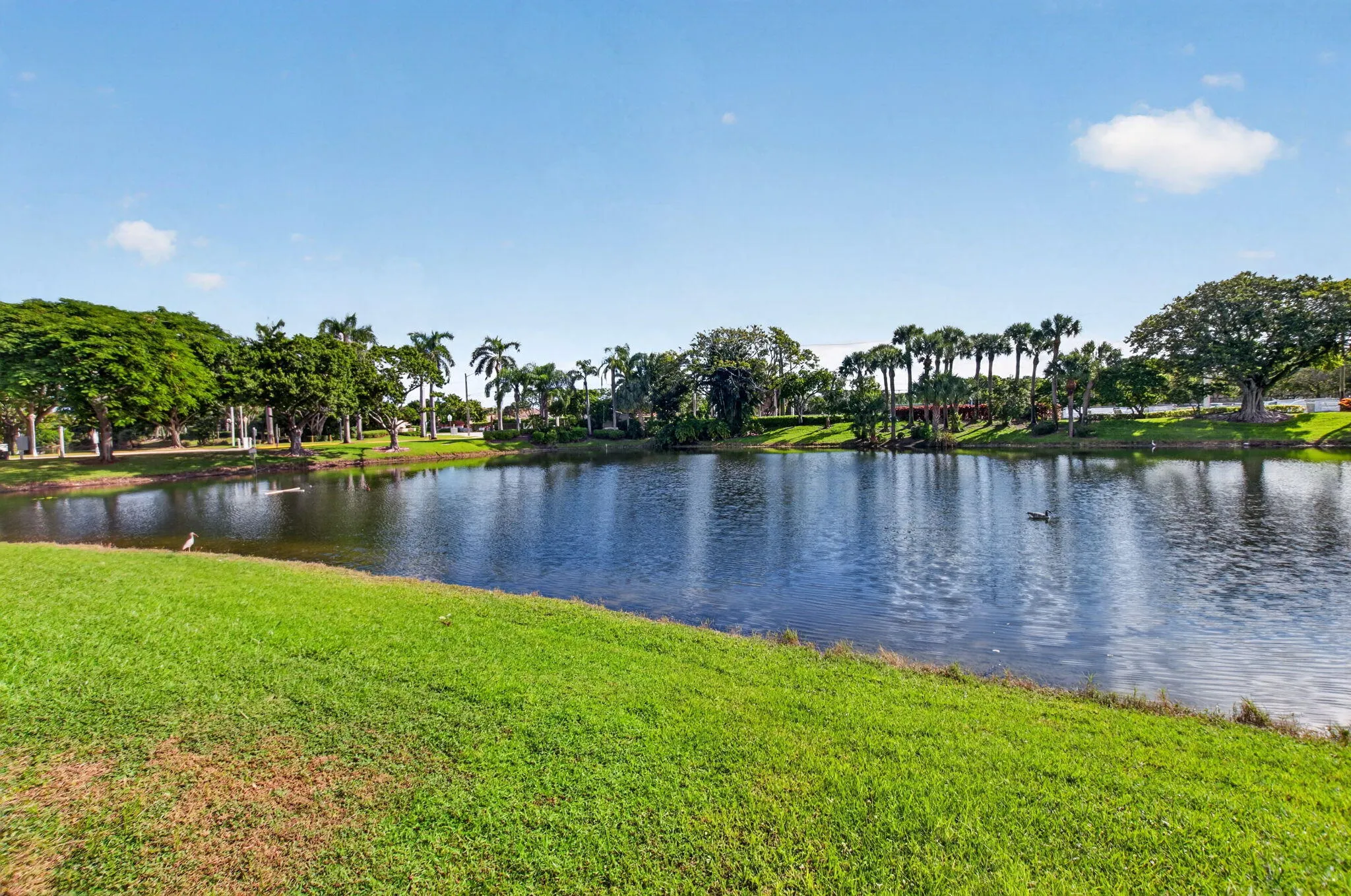 8186 White Rock Circle