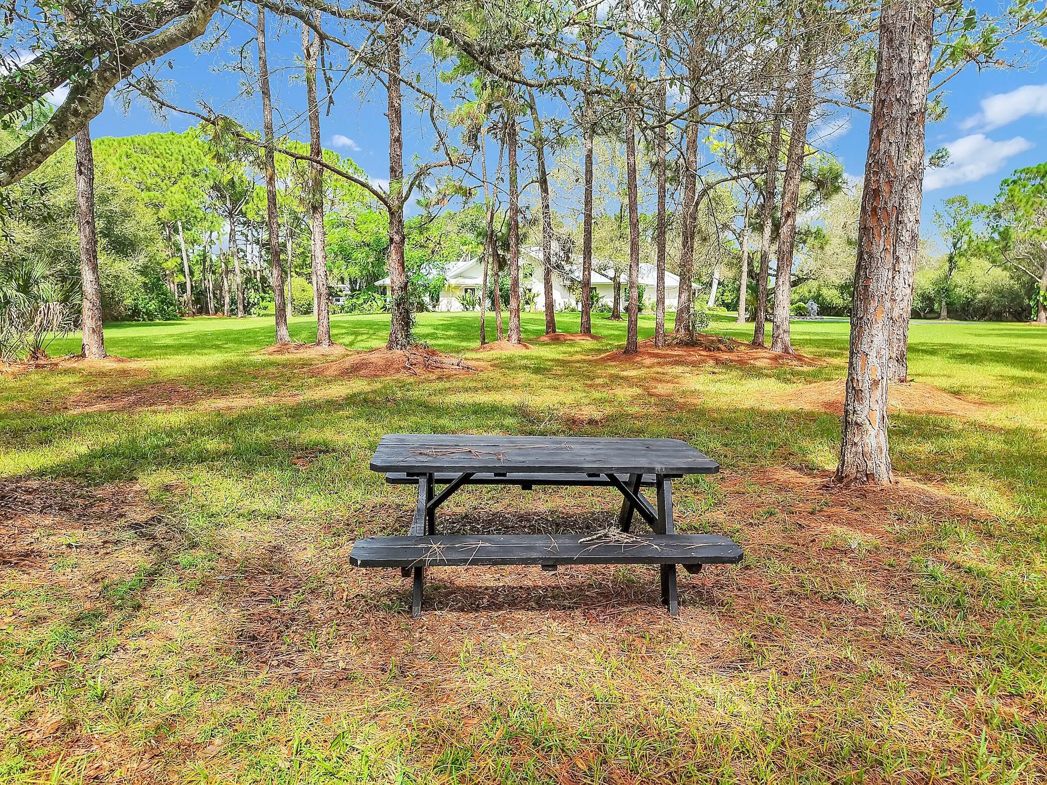 8850 HIDDEN PINES Road