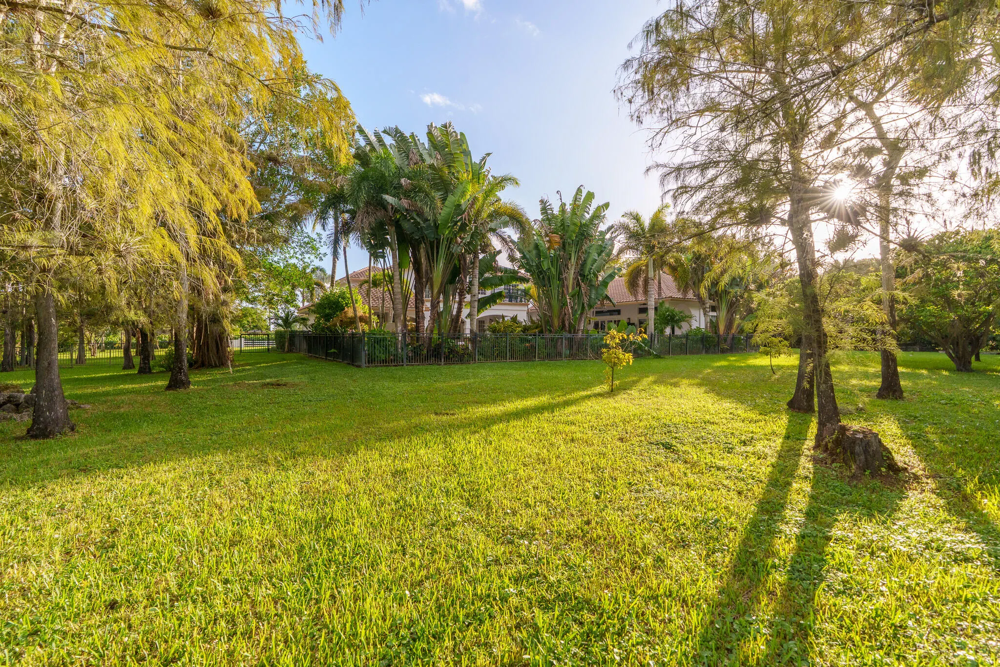 14623 HALTER Road