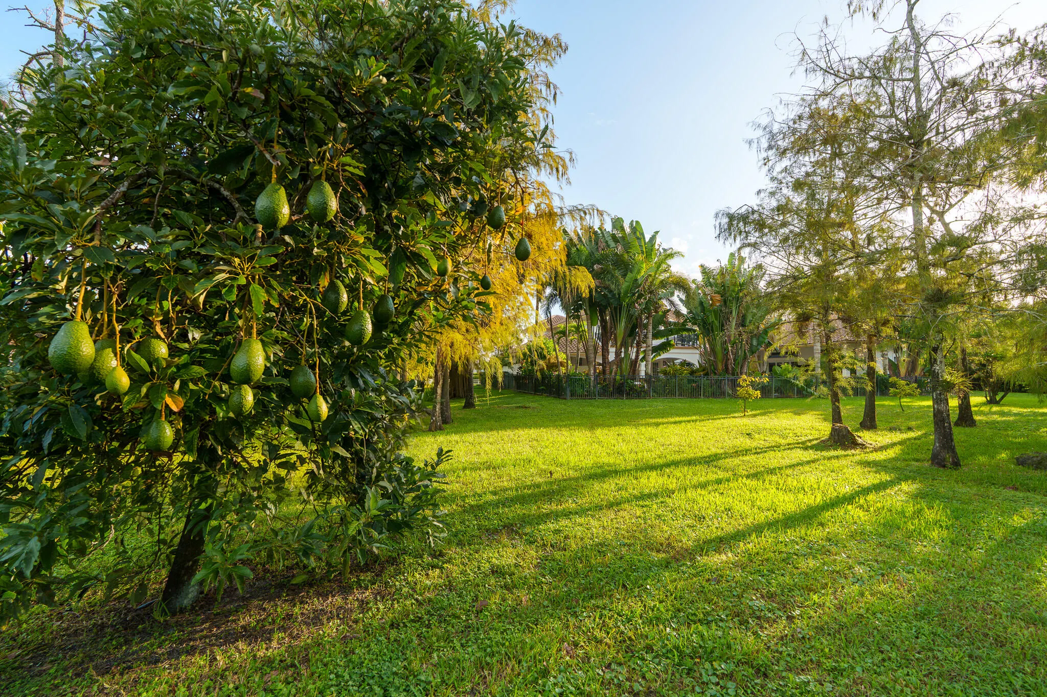 14623 HALTER Road
