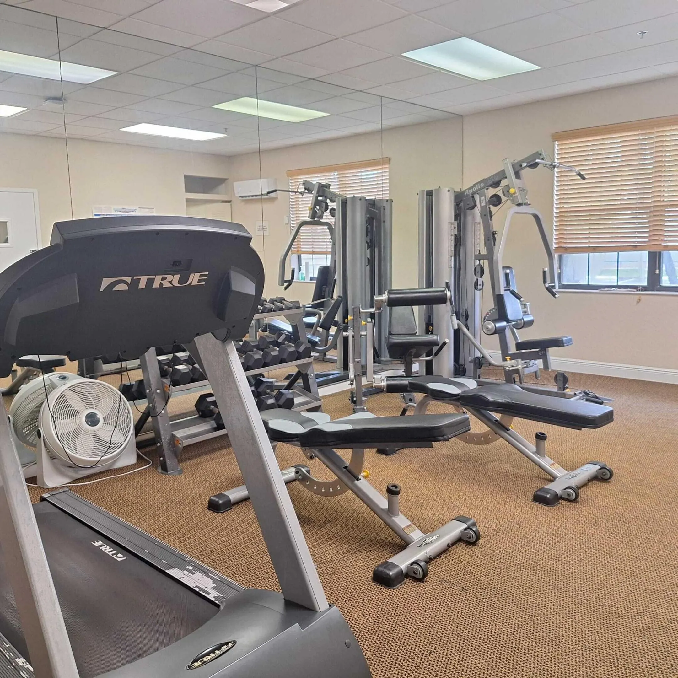 5790 Kayla Drive #43B