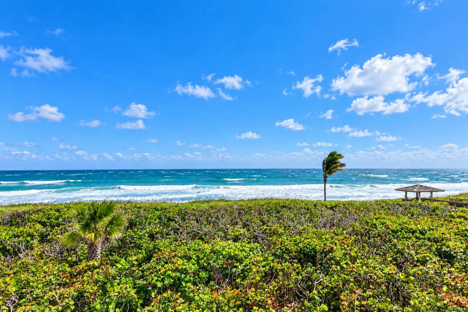 4000 N HIGHWAY A1A #301